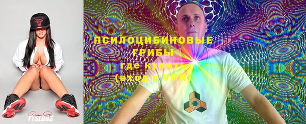 сатива Баксан
