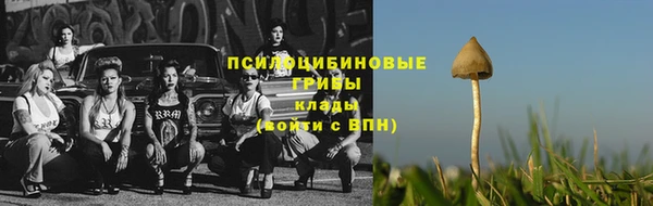 сатива Баксан