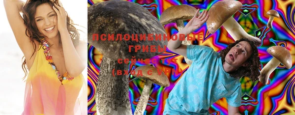 ПСИЛОЦИБИНОВЫЕ ГРИБЫ Балабаново